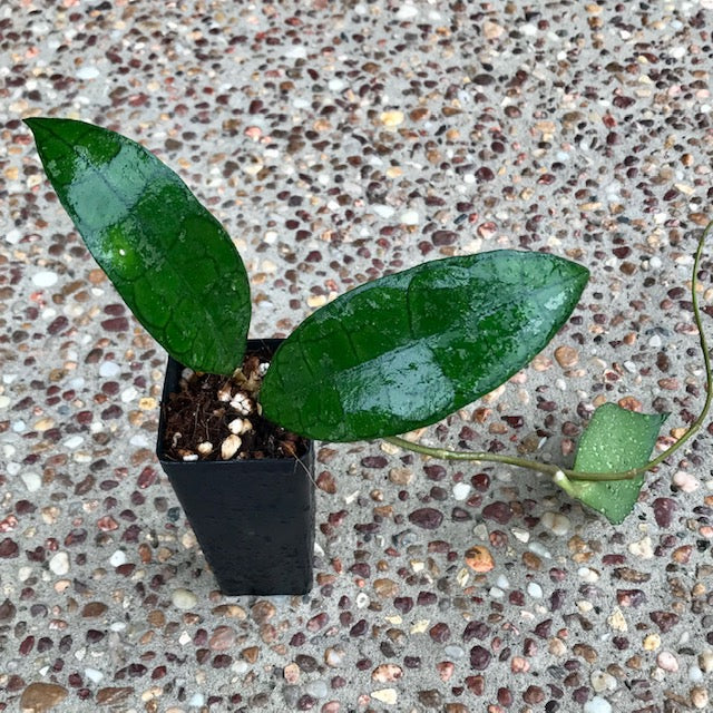 Product image 63